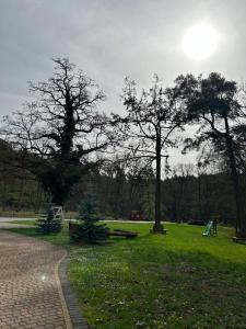 バルリネクにあるLeśny Domの煉瓦造りの小道と木々が2本ある公園