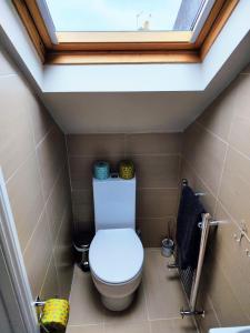 a small bathroom with a toilet with a skylight at Large light loft room - en suite in Brighton & Hove