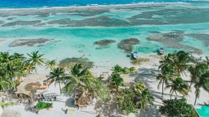- une vue aérienne sur une plage bordée de palmiers et l'océan dans l'établissement 40 Cañones, à Mahahual