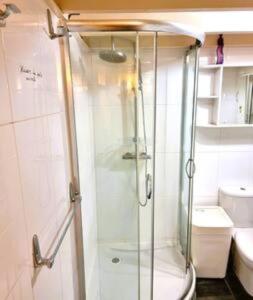 La salle de bains est pourvue d'une douche avec une porte en verre. dans l'établissement APPARTEMENT AU CENTRE VILLE, à Marseille