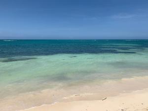 a beach with the ocean and the sand and water at Humble Boy retreat Glamping yurt in Negril