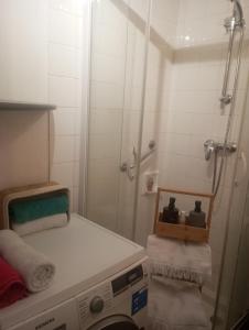 a bathroom with a shower with a bed and a washing machine at Appartement hyper centre lorient Jardin clos in Lorient