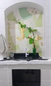 a plant in a vase sitting on a kitchen sink at Hospedaria Guapê in Lauro de Freitas +25 photos