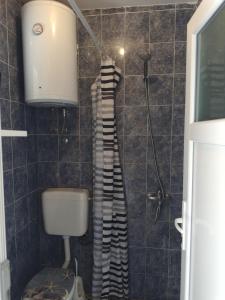 La salle de bains est pourvue d'une douche et de toilettes. dans l'établissement Stan - Mostar, à Mostar