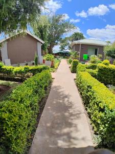 a walkway through a garden with bushes and houses at Bukari Executive Lodge in Mpongwe