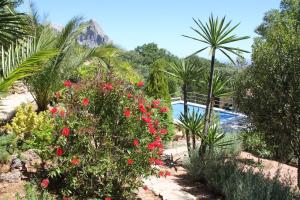 a garden with flowers and a swimming pool at Casa Christa in Alfarnate