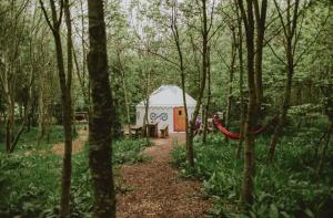 a white tent with a red door in the woods at Elessar Yurt Village in Chichester