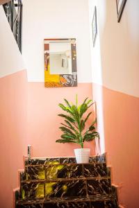 a potted plant sitting on a table in front of a mirror at Appartement lumineux et paisible près centre Yaoundé in Yaoundé