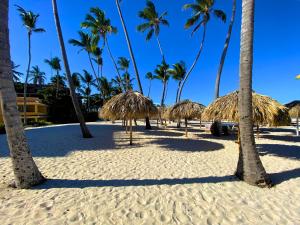 une plage de sable avec des palmiers et des parasols en paille dans l'établissement CARAIBICO STUDIOS Beach Club & Pool, à Punta Cana