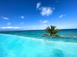 an island with a palm tree in the ocean at CARAIBICO STUDIOS Beach Club & Pool in Punta Cana