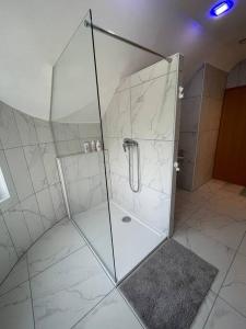 y baño con ducha y puerta de cristal. en Prostorno in prijetno stanovanje en Smarjeske Toplice