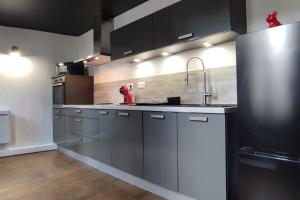 La cuisine est équipée de placards gris et d'un réfrigérateur en acier inoxydable. dans l'établissement 102 Duplex Familial de Charme avec Colombages en Immersion Historique et Confort au Cœur de la Ville, à Bourges 10 autres photos