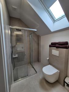a bathroom with a shower and a toilet with a skylight at Wypoczynek nad zatoką Apartamenty Władysławowo in Władysławowo +105 photos