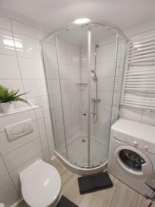 a bathroom with a shower and a toilet and a washing machine at Anna Apartman in Csopak