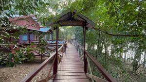 a wooden bridge in the middle of a forest at Vista do Lago Jungle Lodge in Cajual