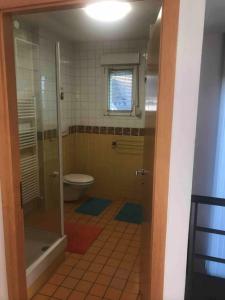 a bathroom with a shower and a toilet at Logement avec piscine in Brunstatt