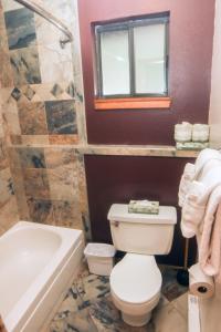 a bathroom with a toilet and a tub and a window at Timber Creek Chalets- 6 chalet in Estes Park