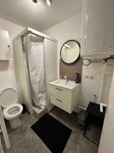 Studio Centre Ville في بار لو دوك: حمام مع مرحاض ومغسلة ومرآة