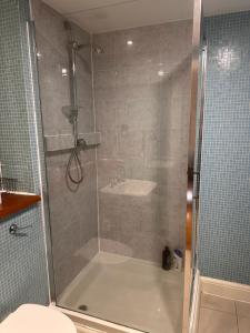 a bathroom with a shower and a toilet at Turner House in London