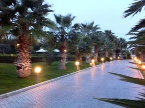 uma rua com palmeiras e luzes à noite em Hotel Jolly em Modugno