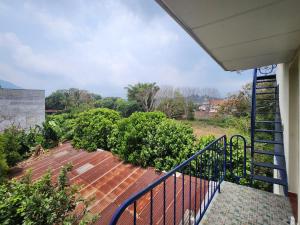 Un balcón de una casa con una escalera y arbustos en Hostal Carolinas, en Juayúa