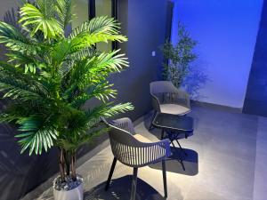 Galeriebild der Unterkunft Fiora chalet salalah in Salalah