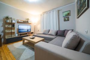 a living room with a couch and a tv at Petra Guest House in Pirot