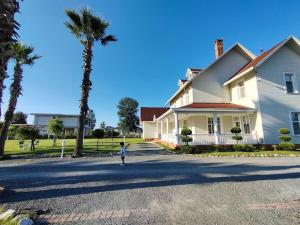 a child standing in the street in front of a house at Serbesler Botanik in Sakarya