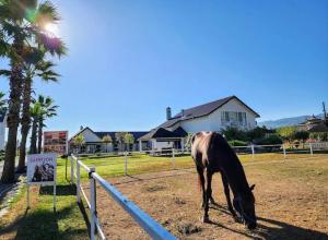 a horse grazing in a field next to a fence at Serbesler Botanik, No 1 Comfortable Villa in Sakarya
