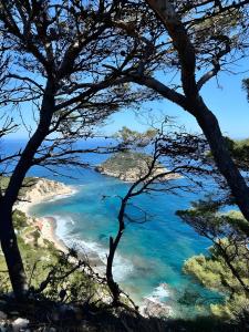 a view of a beach through some trees at Casita Bonita - with private garden near beach in Jávea in Jávea