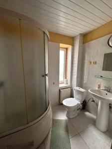 a bathroom with a shower and a toilet and a sink at Роксолана in Truskavets +21 photos