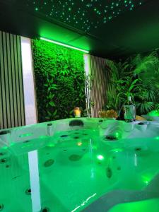 La salle de bains est pourvue d'un mur vert et d'une baignoire. dans l'établissement Dolce vita Prémium, à Budapest