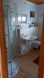 a bathroom with a glass shower and a sink at Landhaus Westrich in Walldürn
