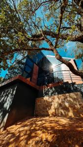 une maison en verre avec un arbre en face de celle-ci dans l'établissement La Forêt Cabañas Boutique, à León