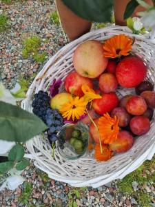 a basket of fruits and vegetables on the ground at Unique homestay in Huddinge