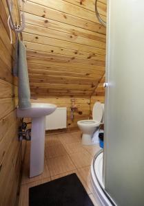baño de madera con lavabo y aseo en Котедж 4Сезони en Slavske