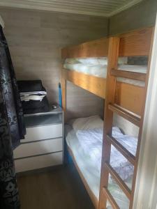 a small room with two bunk beds and a ladder at Vakantie Bos Huisje “Meibloempje” in Lanaken