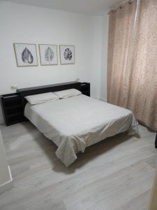1 dormitorio con 1 cama en una habitación en Apartamento Redondela céntrico, en Pontevedra