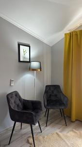 uma sala de estar com duas cadeiras e um candeeiro em Ștefan House em Căuşeni