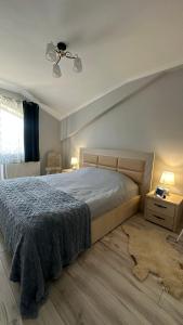 Postel nebo postele na pokoji v ubytování Ștefan House 1