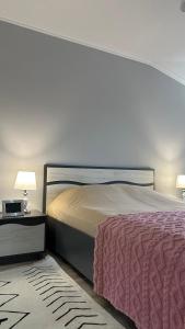 Postel nebo postele na pokoji v ubytování Ștefan House 1
