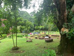 Ảnh trong thư viện ảnh của Mpanga Nature Center ở Mpigi