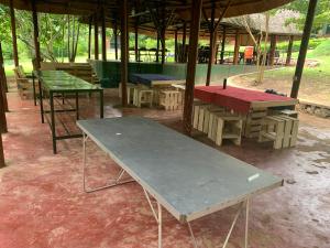 un groupe de tables de pique-nique et de bancs sous un pavillon dans l'établissement Mpanga Nature Center, à Mpigi