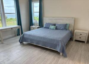 sypialnia z łóżkiem z niebieskim kocem i 2 oknami w obiekcie Twin Coves Tranquility: Private Beachfront Estate w mieście North Palmetto Point