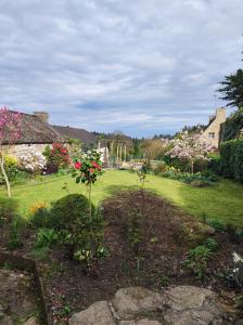 un jardín con flores en medio de un patio en Rose Cottage, en Huelgoat