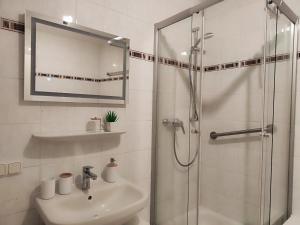 een badkamer met een wastafel en een glazen douche bij 2 Zimmer Wohnung, Küche, Bad, Balkon, Tiefgarage, Netflix in Alzey