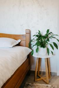 Bumbesti PiticにあるEDANT HOUSEのギャラリーの写真 +36枚の写真