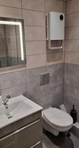 a bathroom with a sink and a toilet and a mirror at New jungle studio cœur de ville in Pont-à-Mousson