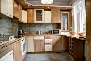 a kitchen with wooden cabinets and a microwave at Witkacówka in Zakopane