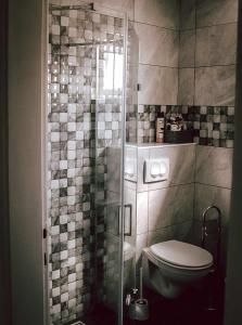 W łazience znajduje się toaleta i przeszklony prysznic. w obiekcie Kuća za odmor Ante w mieście Ilok